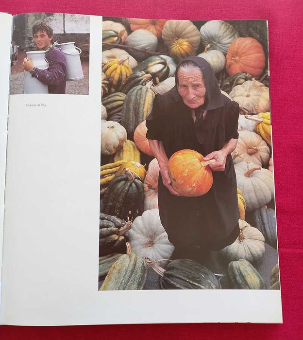 Corvo, a ilha da sabedoria