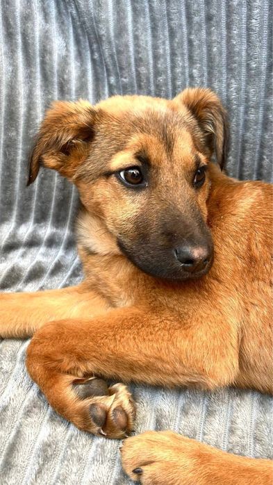 Неймовірно ніжна Амі шукає найкращих людей!