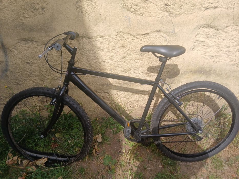 Bicicleta adulto