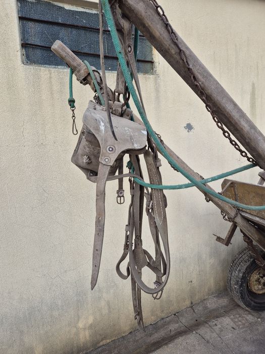 Carroça para burro com colete