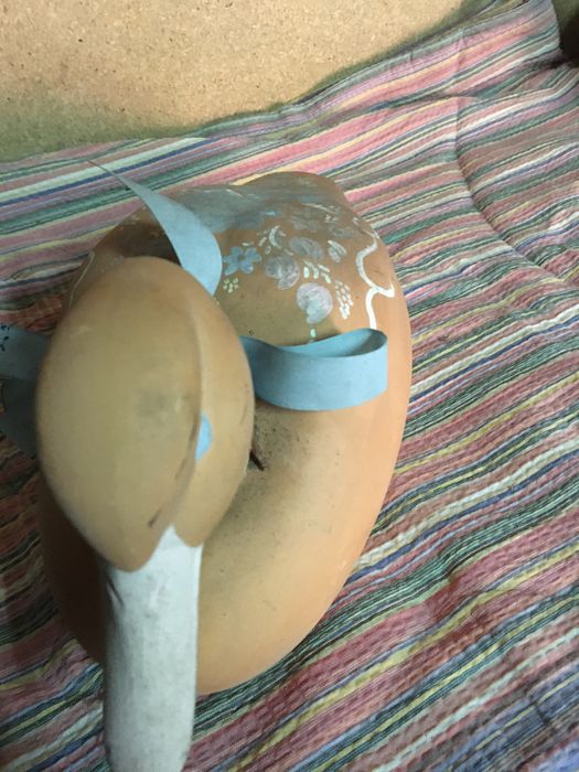 Pato e cisne vendo os 2 juntos