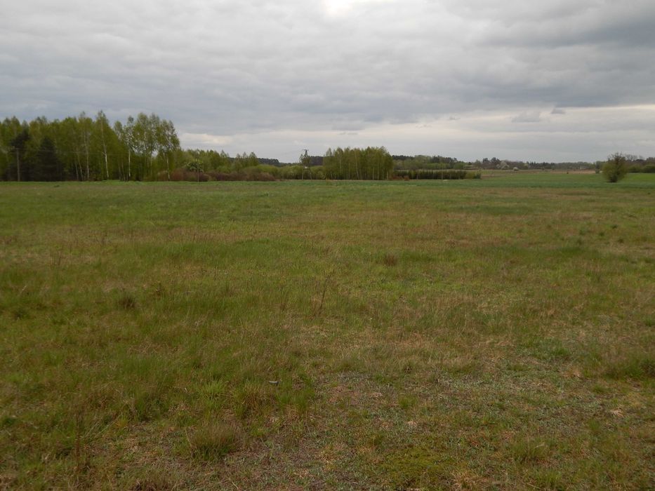 Działka Rekreacyjno - Budowlana (prąd, gaz )  1500 m2 W.Z.