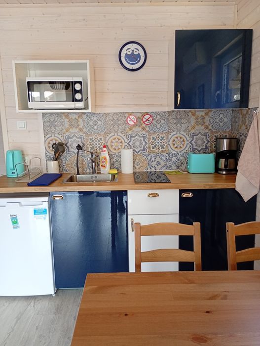 ZIELONKA RELAKS - Rusinowo domki blisko morza z klimatyzacją