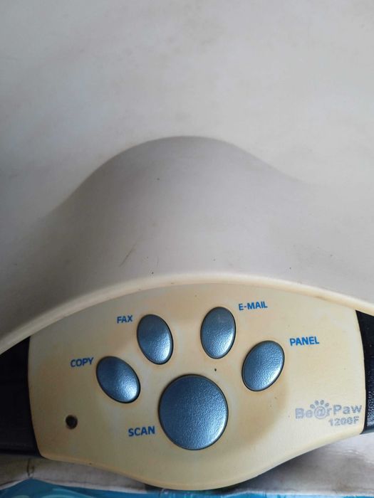 Сканер Mustek Bear Paw 1200f