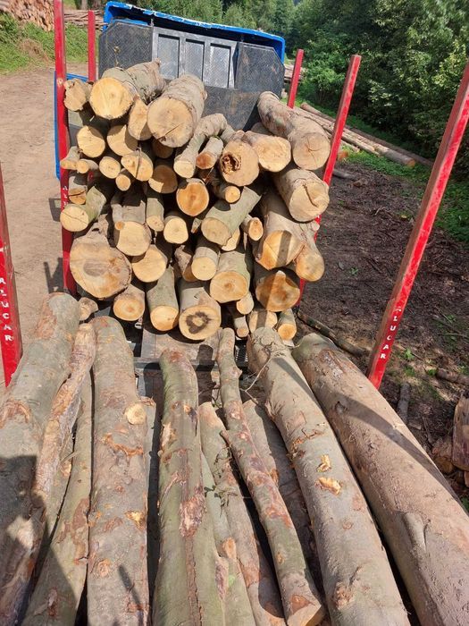 drewno - kłody opałowe