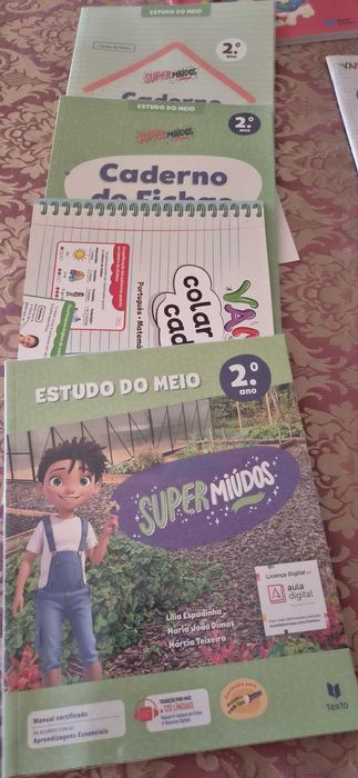 Livros Escolares 2.º Ano 2026/2027 NOVOS – Manuais + Livros de Fichas