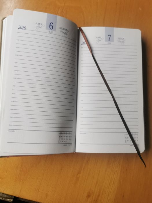 Agenda de mão 2026