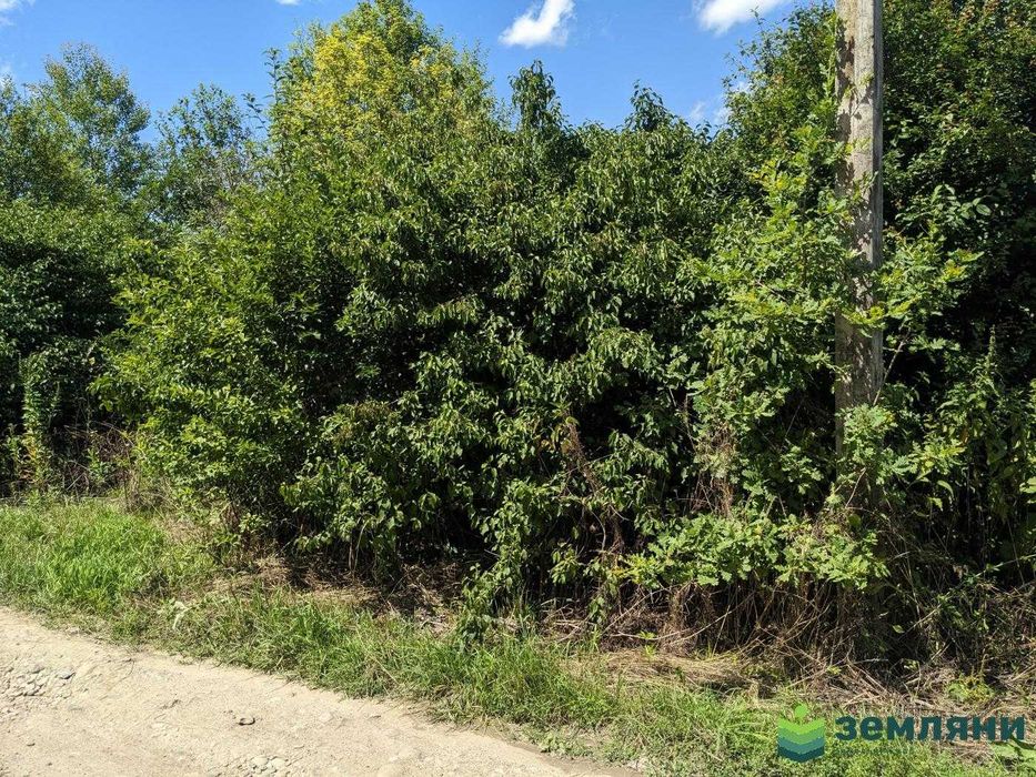 Продається земля 8,24сот в с.Павлівка, СТ Сантехник під забудову (5)