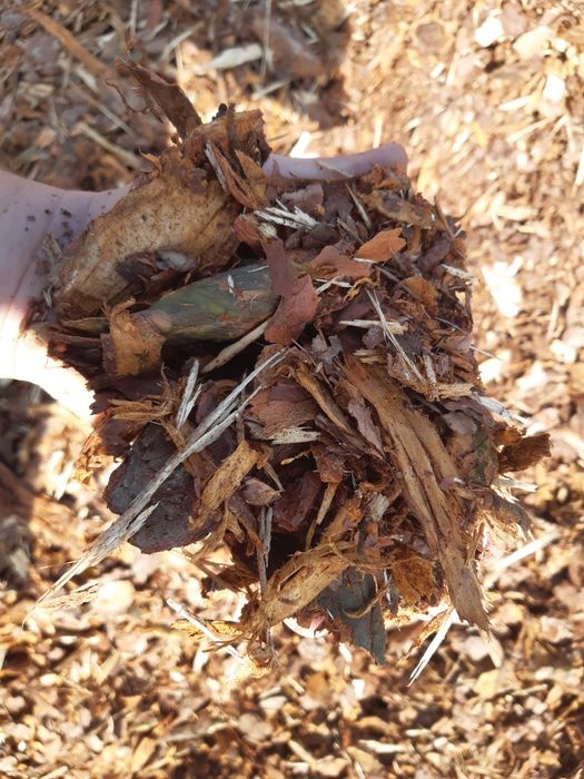 Kora sosnowa świeża gruba worki 80l