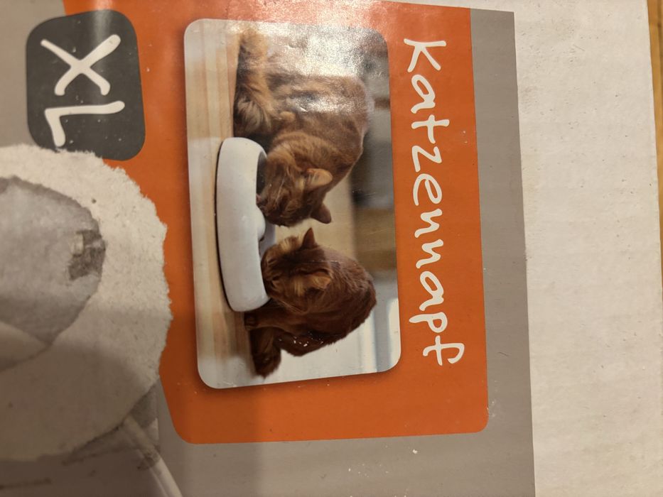 Poidło. Miska ceramiczna dla kota