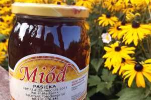 NATURALNY MIÓD z własnej pasieki - Prawdziwy miód pszczeli