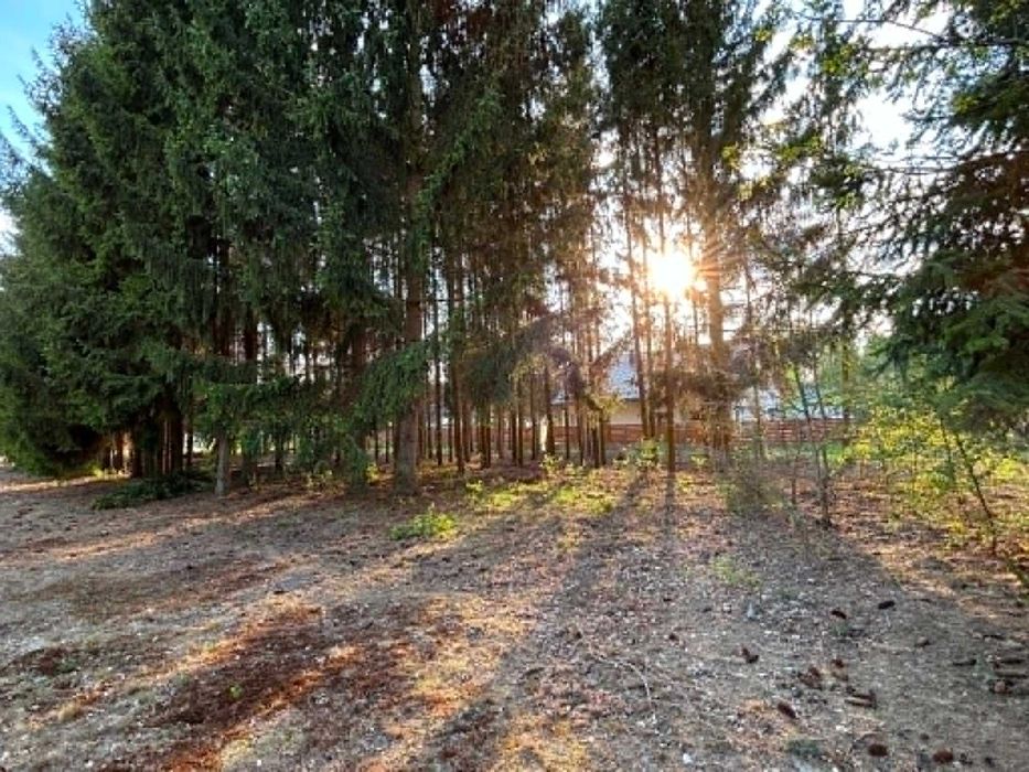Działka 1575 m² Radonie, Grodzisk Mazowiecki, MPZP, media - Widok 4