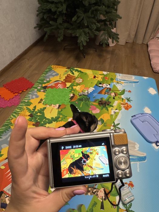 Компактный фотоаппарат Canon PowerShot SX740 HS Silver