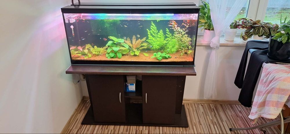 Akwarium 240L z szafką, filtrem  100 % sprawne