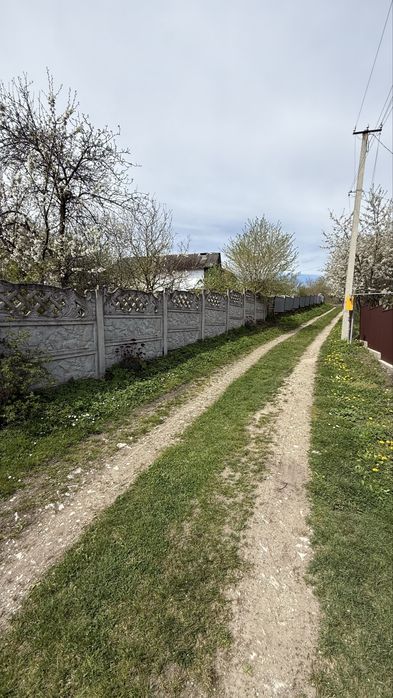 Будинок в с.Палагичі