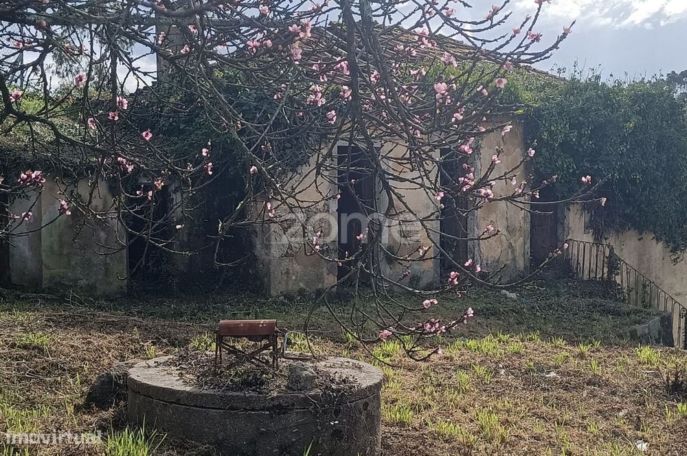 Moradia T4 com terreno de 1.450 m2, Oliveira de Azeméis