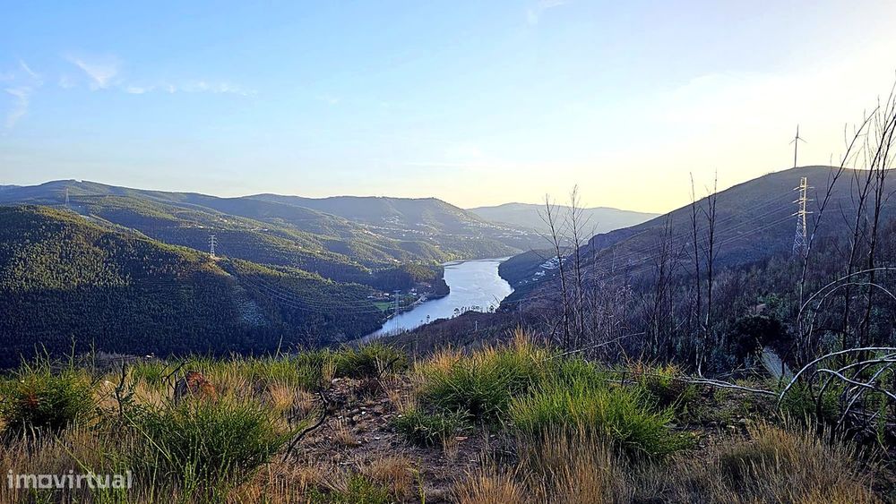 Terreno com Vista Douro em Penafiel