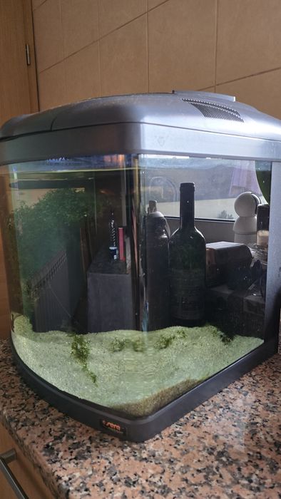 Aquário Será Biotop mano Cube 60lt