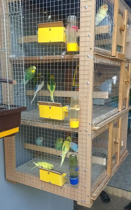 Клетка для птиц и все что в ней