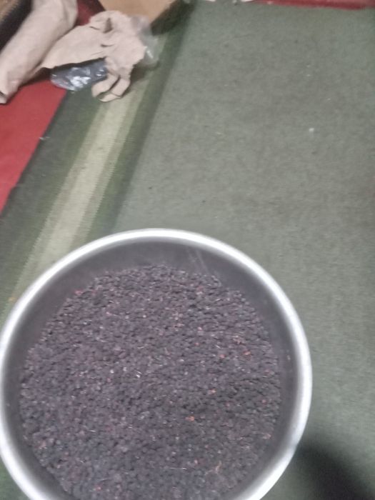 Ягоди чорниці сухої