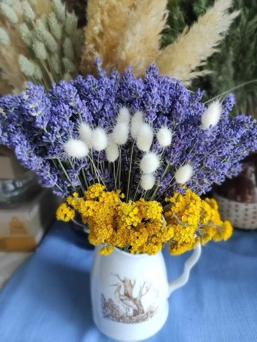 Лаванда--0.60 коп  квіти  бриза  Канатник  сухоцвіти сухоцветы