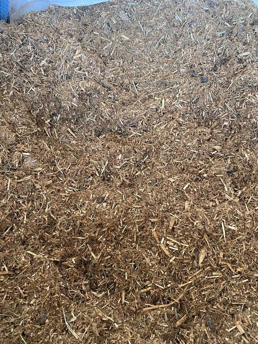 Suchy TMR dla cieląt