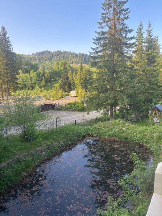 Терміново продаж котеджу в с.Дземброня _N