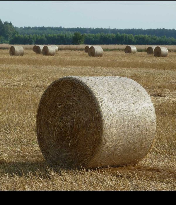 Słoma w Belach 120/120