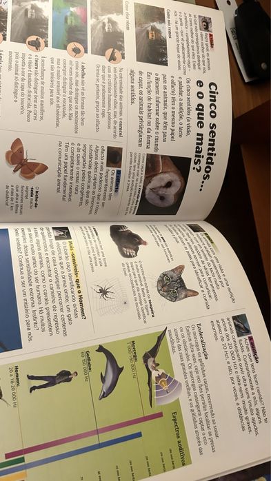 Dokeo Animais 9/12 anos