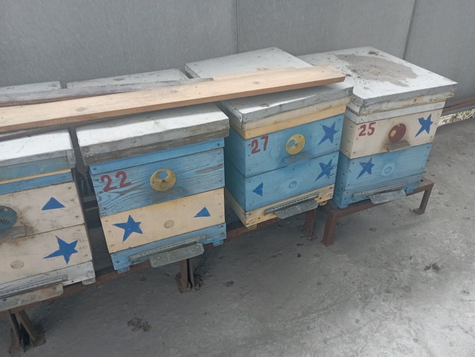 Улья корпусные для пчел