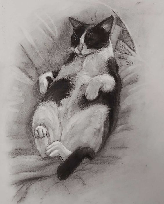 Retratos de animais a carvão (P&B), a pastel (cores) ou digital