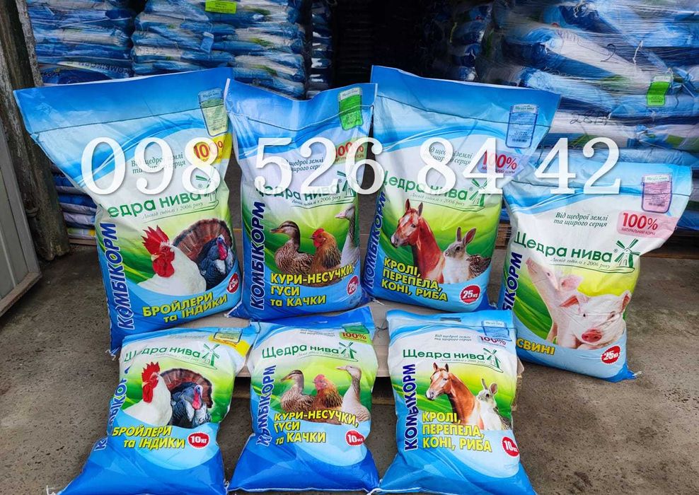 Курчата, несучки, бройлери, Індики Біг 6