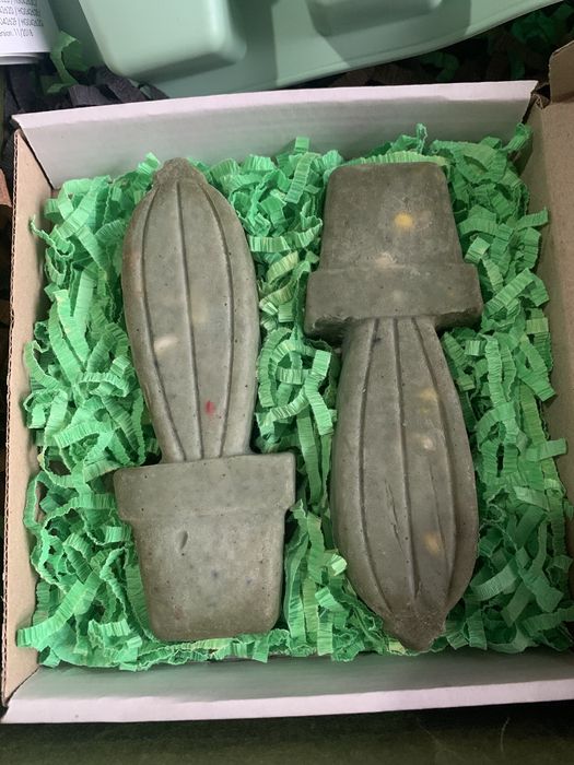 подарок маме свекрови подруге  Клубника кактус box