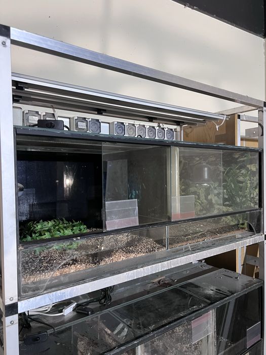 Sprzedam terrarium