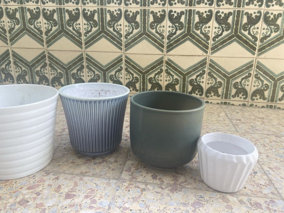 Assorted Vases423596674064721922