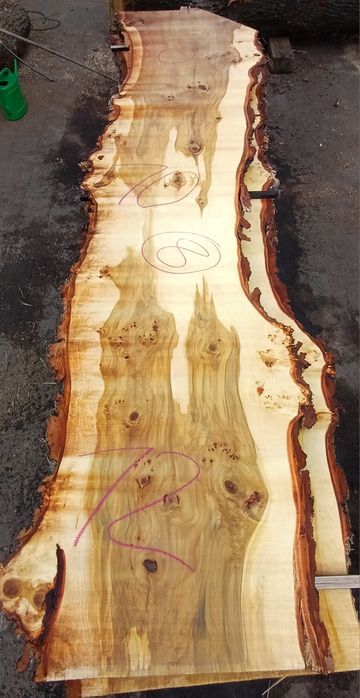 Topola blat na stół do kuchni foszty topoli