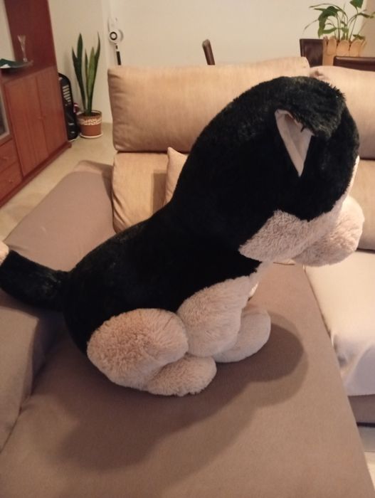 Cão peluche grande