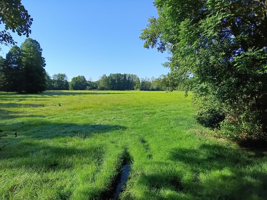 Sprzedam Łaki 3.2 hetara w 3 kawałkach