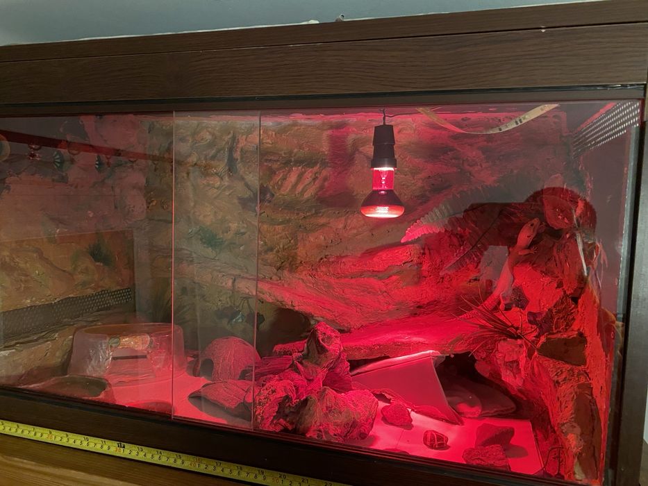 terrarium wlasnorecznie robione