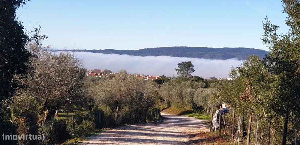 5,5 Hectares com Direitos de Desenvolvimento Turístico Aprovados - Ale