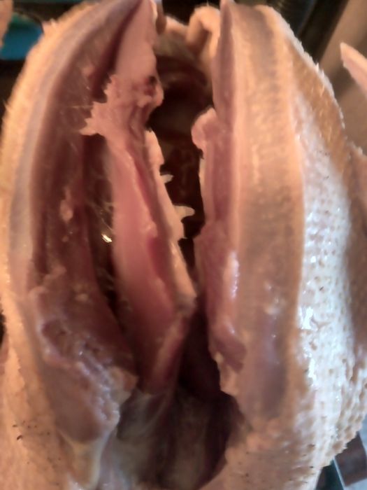 Sprzedam tuszki kaczek