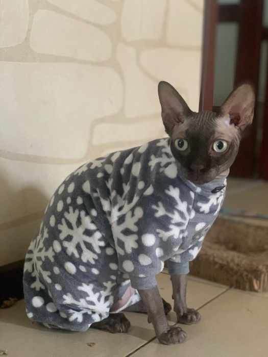 Теплий Одяг для котів сфінкс девон рекс одежда для котов