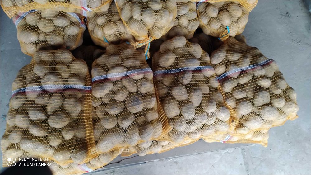 Ziemniaki Jadalne Tajfun, Satina z ręcznego sortowania