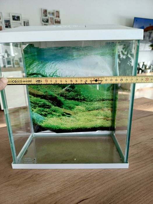 Małe akwarium dla początkujących