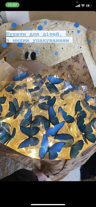 Букет з метеликами, сердечками, мішками, рафаелло 35 видів метеликів