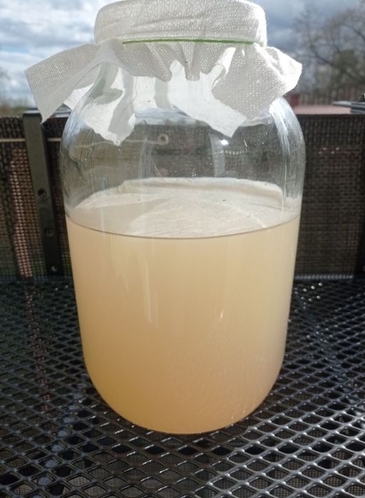 Domowy żywy ocet jabłkowy 2l