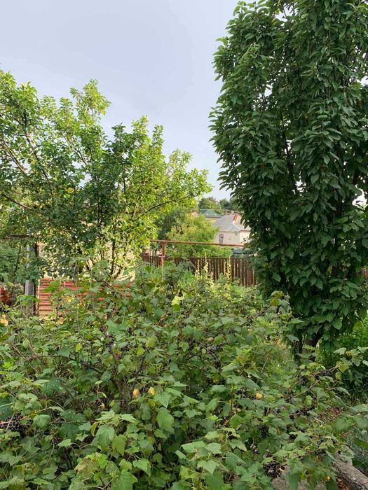 Продам дом в Диевке