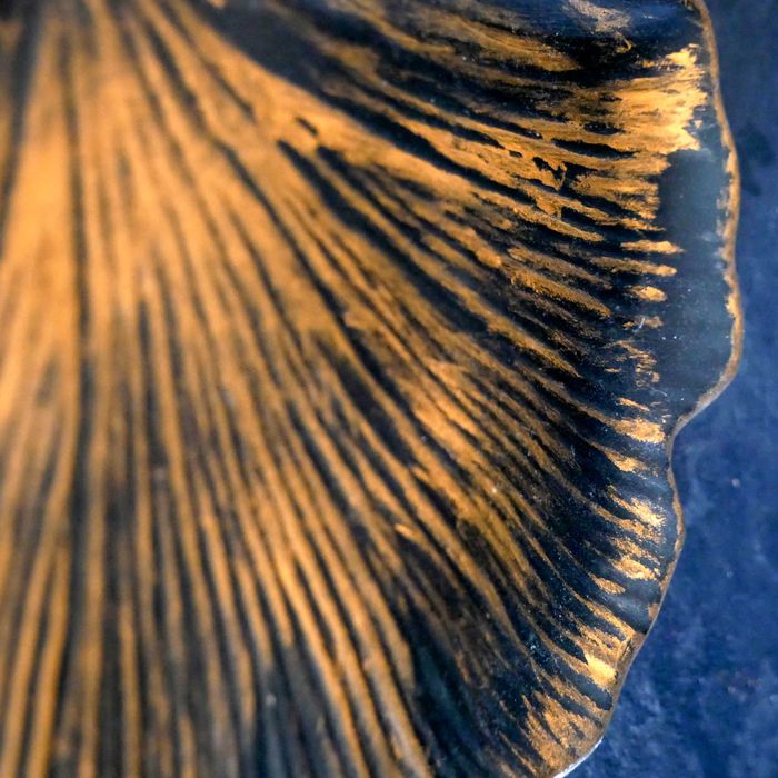 Taca z gipsu, miłorząb japoński 1 złoty