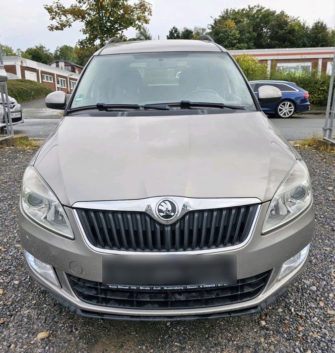 Розборка румстер,шкода румстер авторозборка,roomster розбор,практик