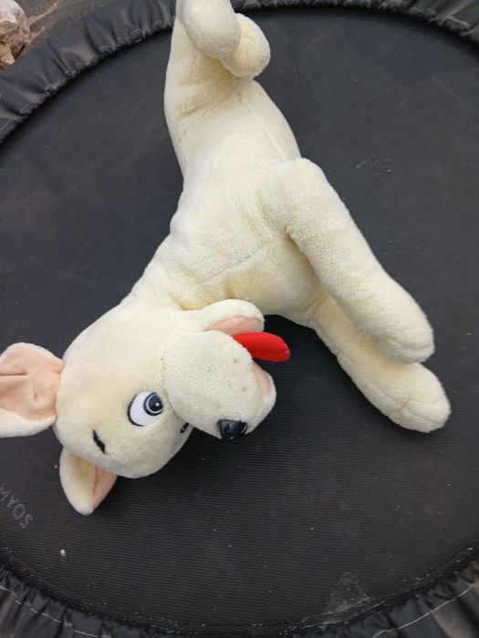 Peluche para o cão brincar como novo.